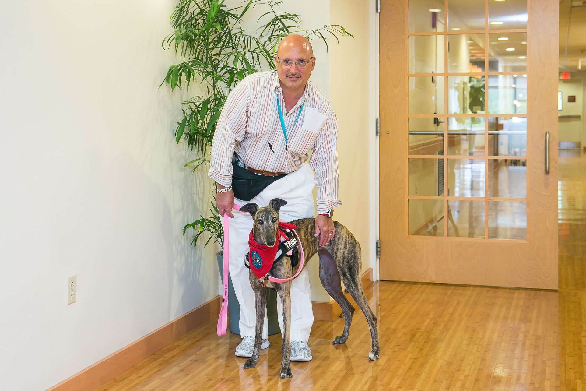 A man in a striped shirt and white pants leans down with a warm smile next to his therapy dog, a brindle greyhound wearing a red vest and bandana, in a well-lit hospice facility hallway; providing compassionate hospice pet therapy